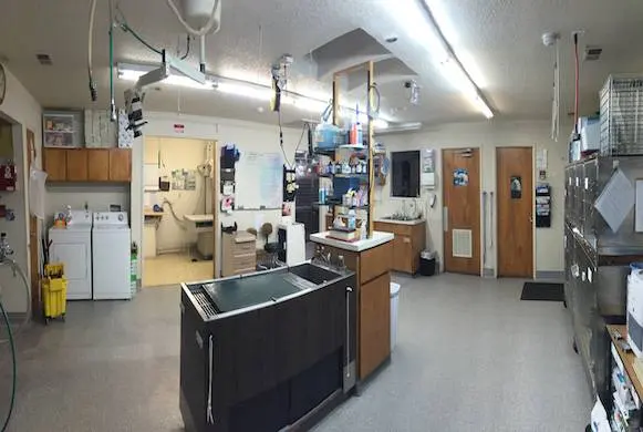 Rocklin Ranch Veterinary Hospital at Pacific Street — photo from the business 10