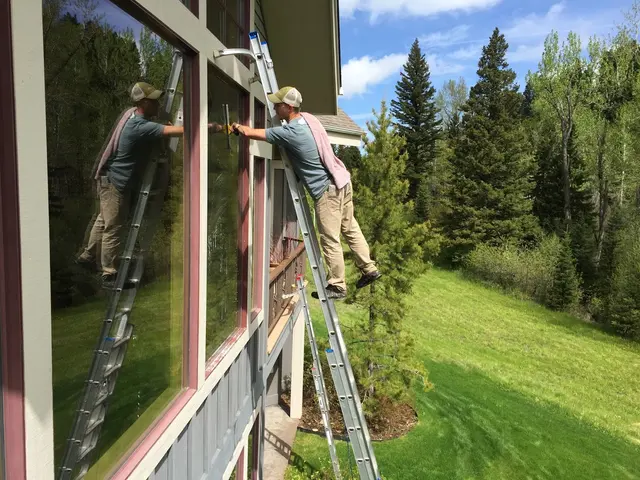 Pane'N The Glass Window Cleaning — photo from the business 1