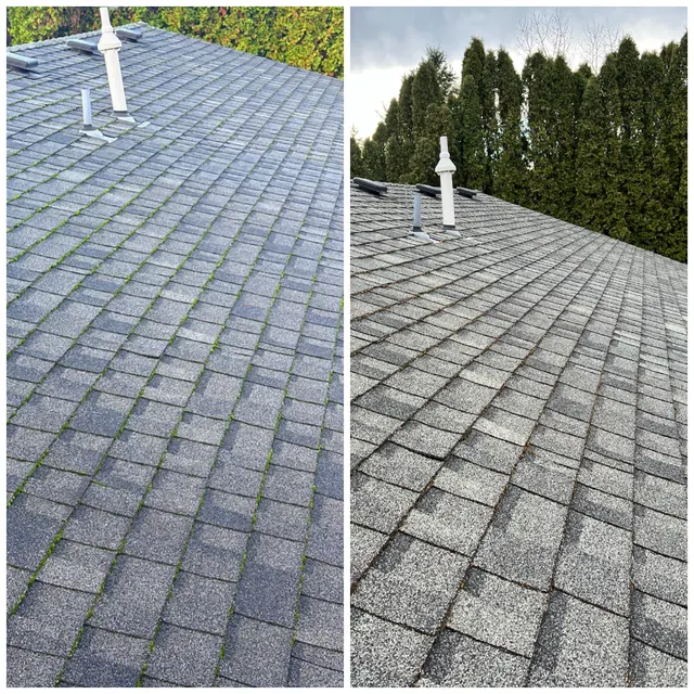 AA Window, Roof & Gutter Cleaning — photo from the business 2
