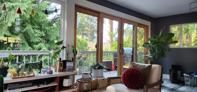 Wonderboy NW — customer photo 12