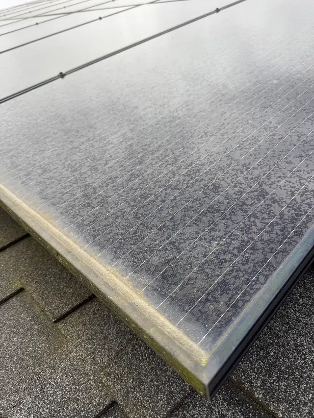 Diamond PT Window Cleaning — customer photo 10