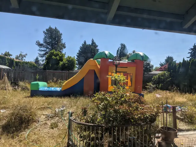 Bouncin Bins Services & Inflatable Booking Pros - Portland — customer photo 9