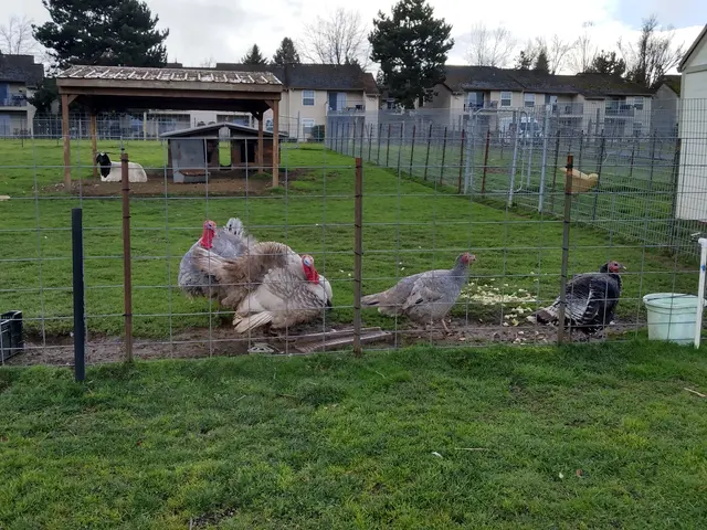 Rossi Farms — customer photo 7