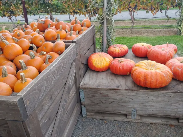 Rossi Farms — customer photo 6