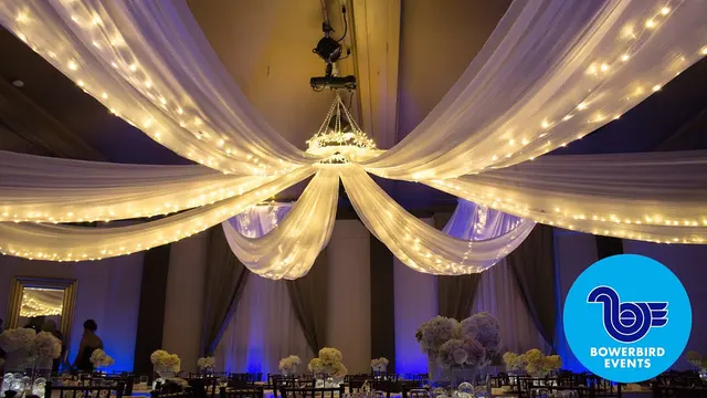 Bowerbird Events — photo from the business 1