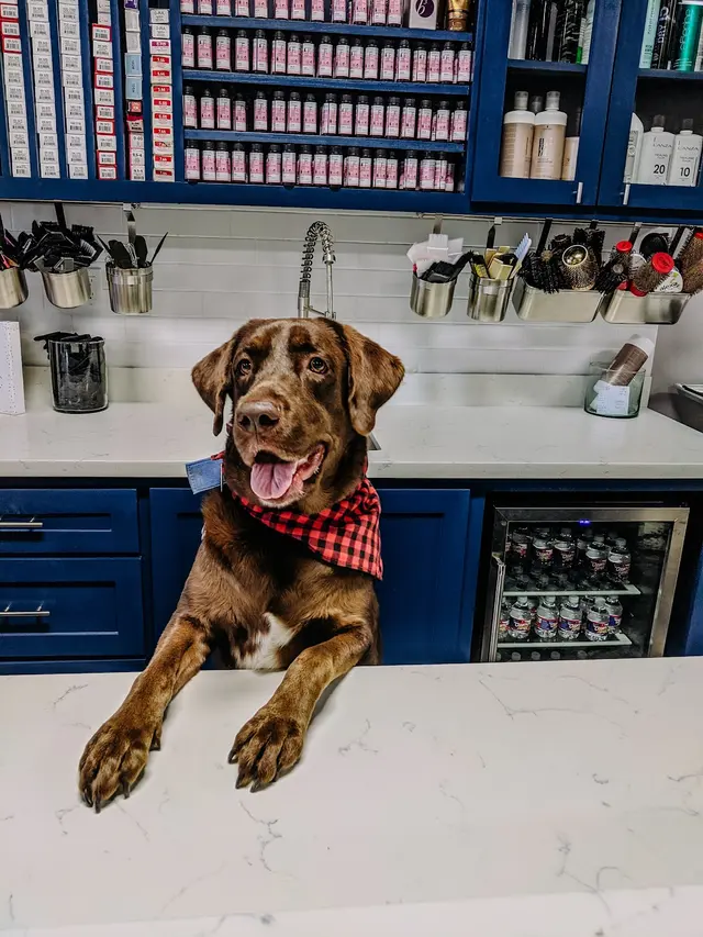 The Lokal Salon — photo from the business 10