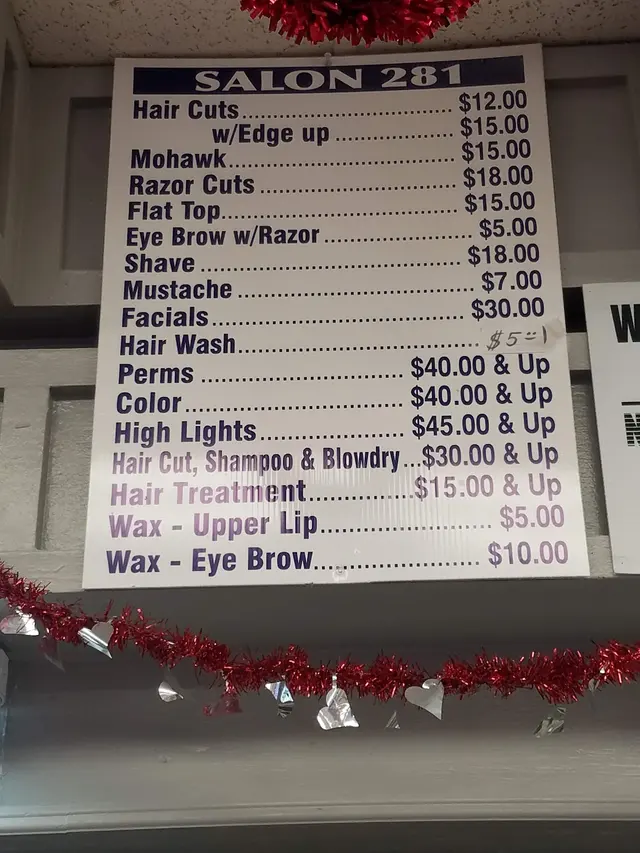 Salon 281 — customer photo 5