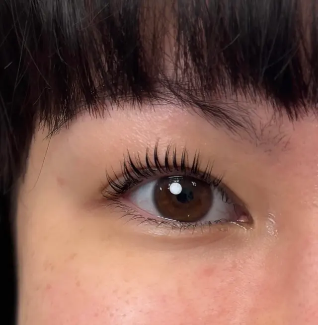 Royal Lashes & Hair Studio — photo from the business 3