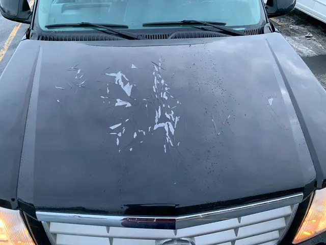 Velocity Auto Body — customer photo 8