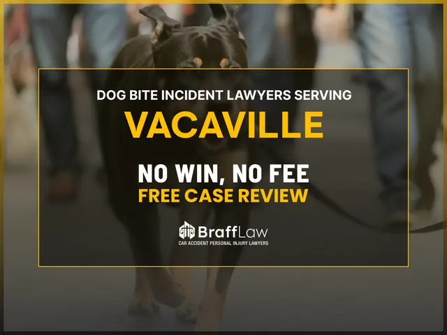 Braff Law Car Accident Personal Injury Lawyers — photo from the business 7