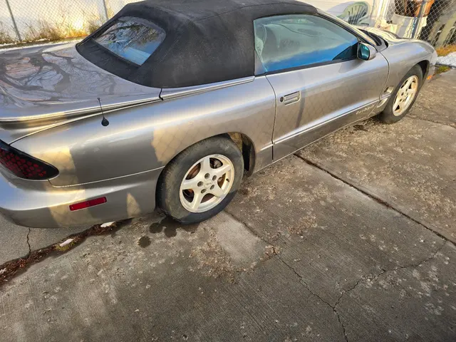 American Automotive Appearance & Sales — customer photo 4