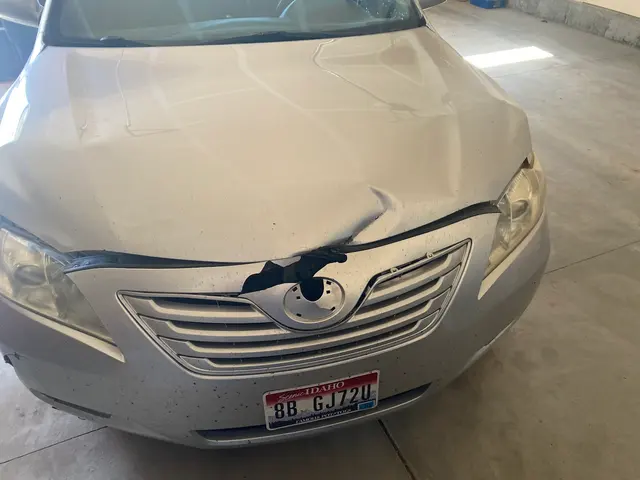 American Automotive Appearance & Sales — customer photo 3