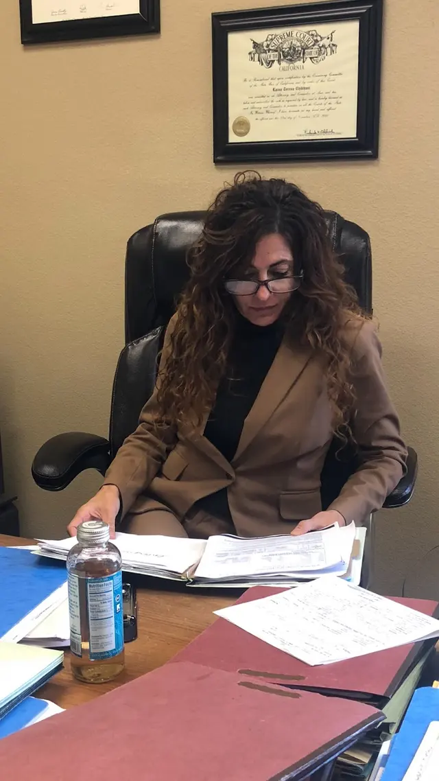 Laina T. Chikhani, Attorney at Law — photo from the business 2