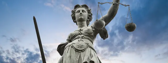 Laina T. Chikhani, Attorney at Law — photo from the business 7