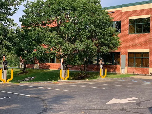LaMarche Safranko Law PLLC — photo from the business 7