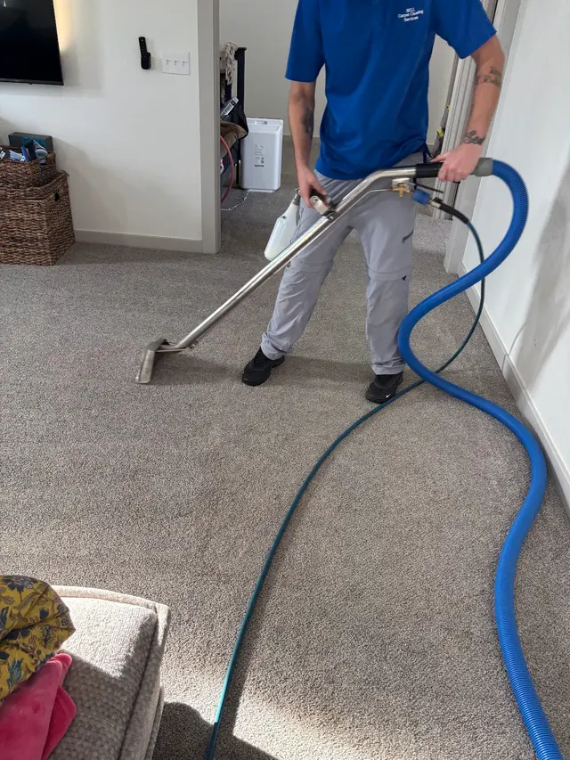 Bell Carpet Cleaning Services, LLC — photo from the business 4