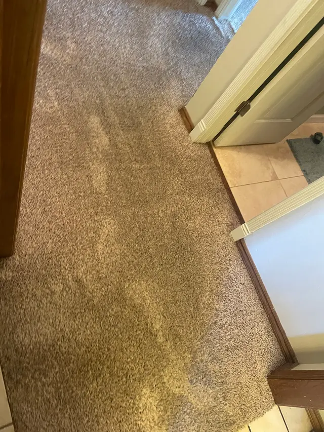 Customer photo from Kellie's review