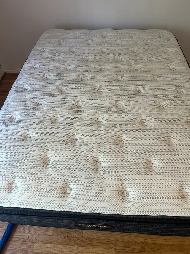 Bell Carpet Cleaning Services, LLC — photo from the business 6
