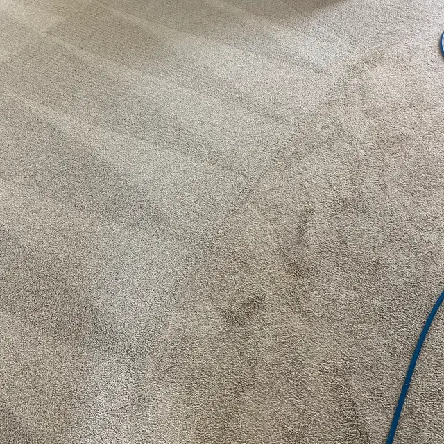 Pro-X: Carpet Cleaning, Dryer Vent Cleaning, Garage Door Repair — photo from the business 8