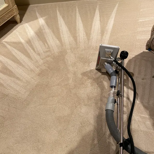 Pro-X: Carpet Cleaning, Dryer Vent Cleaning, Garage Door Repair — photo from the business 7