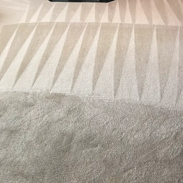 Pro-X: Carpet Cleaning, Dryer Vent Cleaning, Garage Door Repair — photo from the business 10
