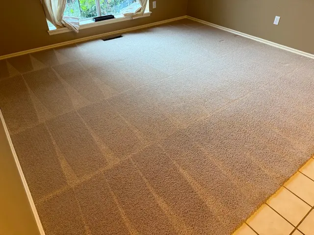 Pro-X: Carpet Cleaning, Dryer Vent Cleaning, Garage Door Repair — photo from the business 2