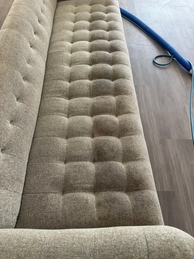 Sunshine Carpet & Tile Cleaning — photo from the business 8