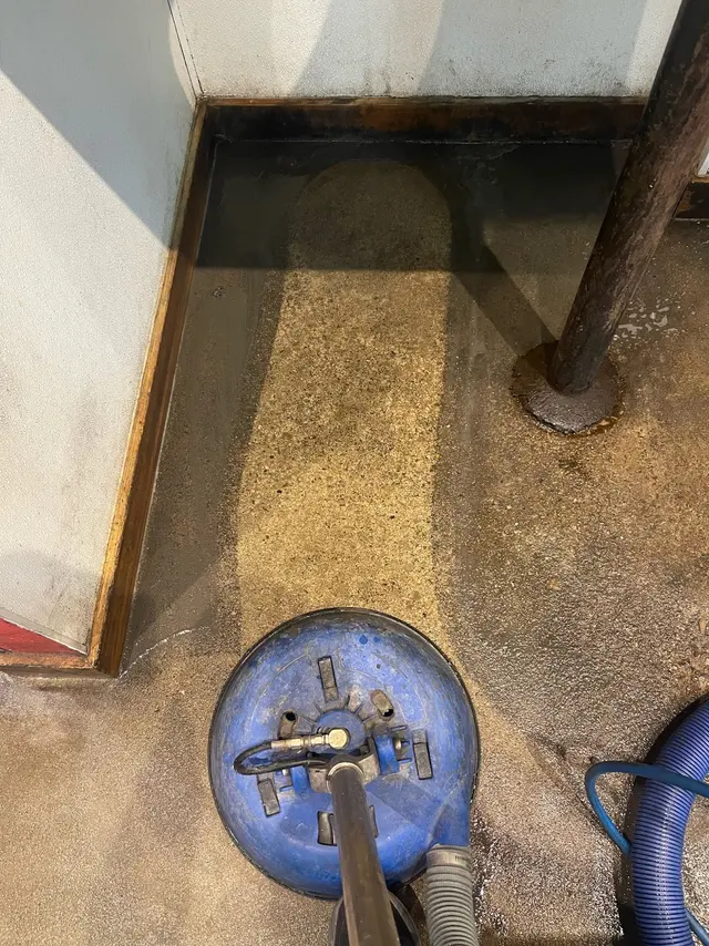 Sunshine Carpet & Tile Cleaning — photo from the business 12