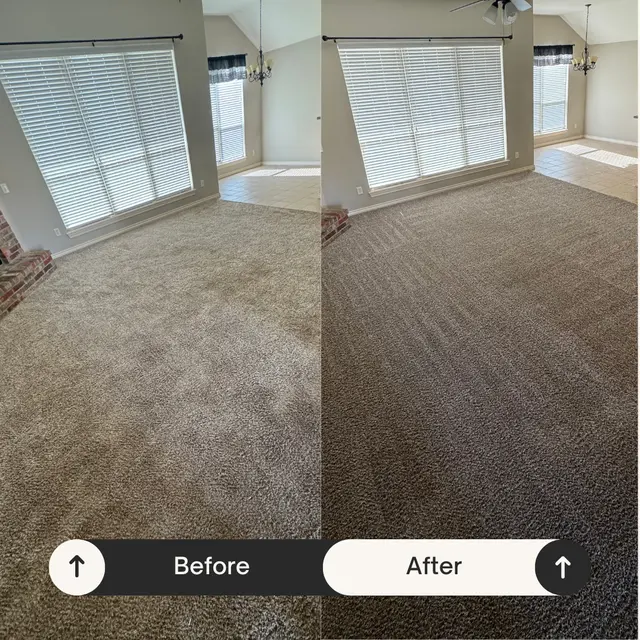 Sunshine Carpet & Tile Cleaning — photo from the business 1