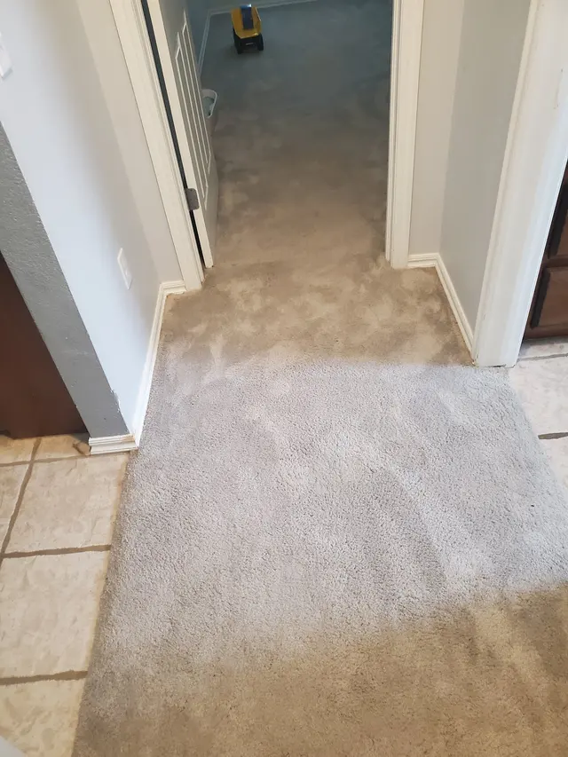Customer photo from Thomas's review