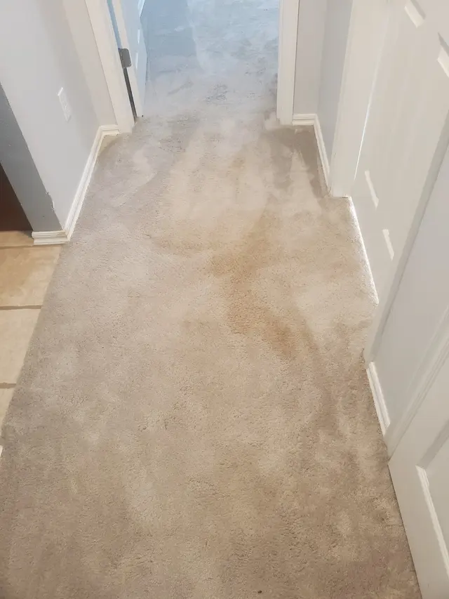 Customer photo from Thomas's review