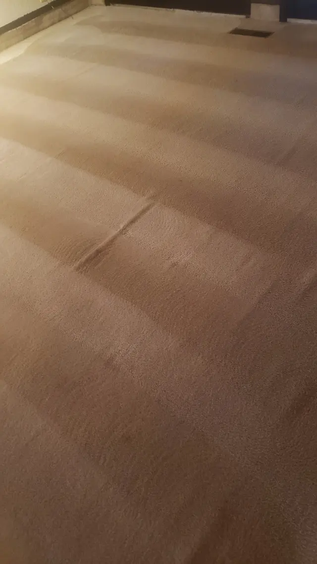 Genesis Janitorial & Carpet Cleaning — customer photo 12