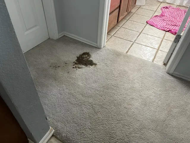 Genesis Janitorial & Carpet Cleaning — customer photo 10