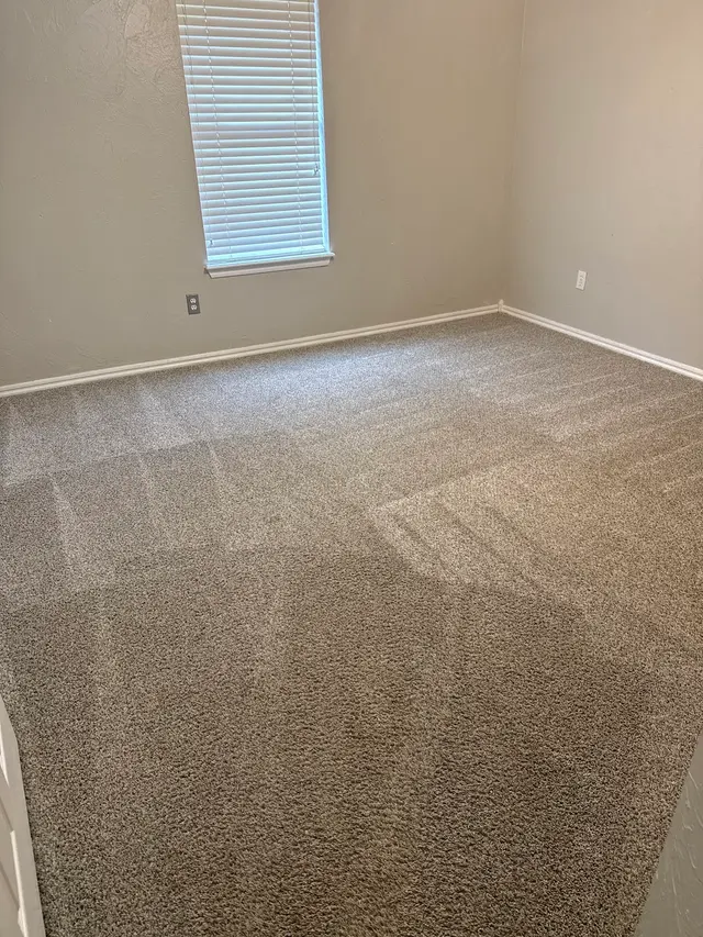 Steam Master Cleaning — customer photo 4