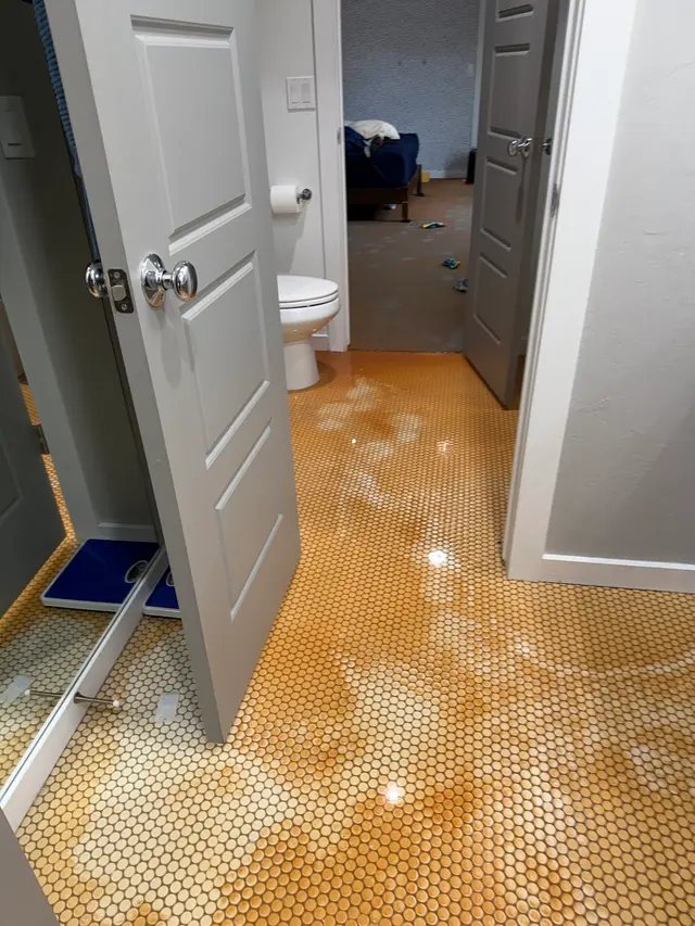Steam Master Cleaning — customer photo 11