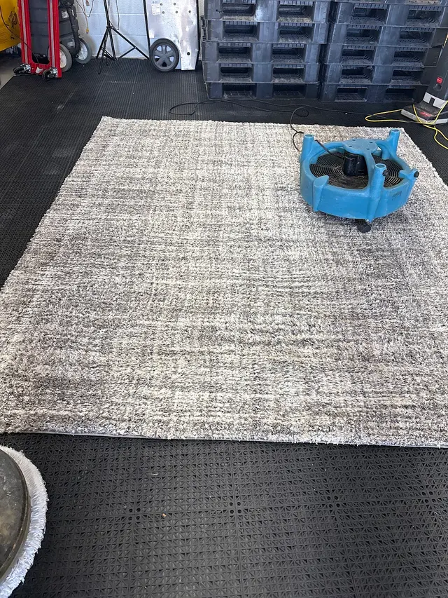 J & J Floor Care — photo from the business 8