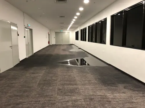 J & J Floor Care — photo from the business 12