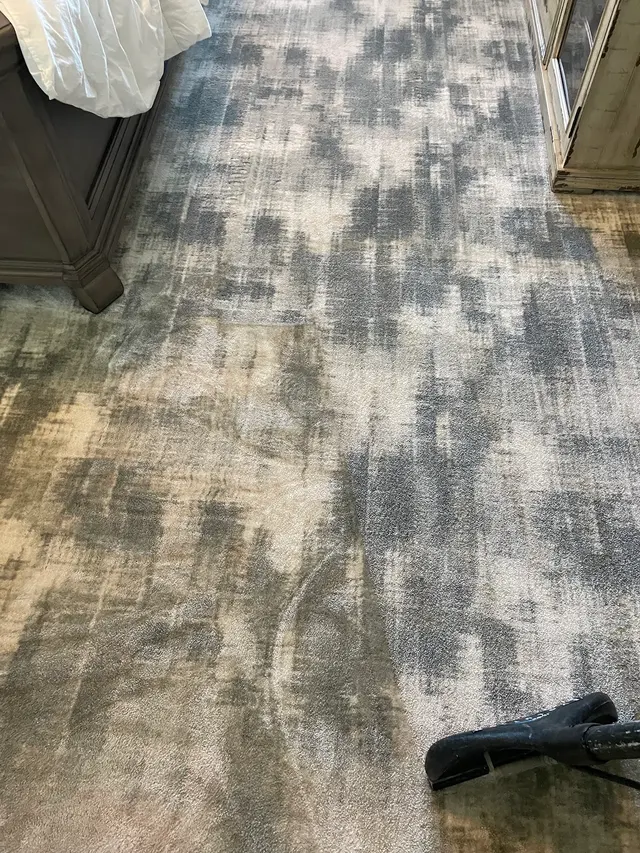 DMD Carpet & Tile Cleaning — photo from the business 2