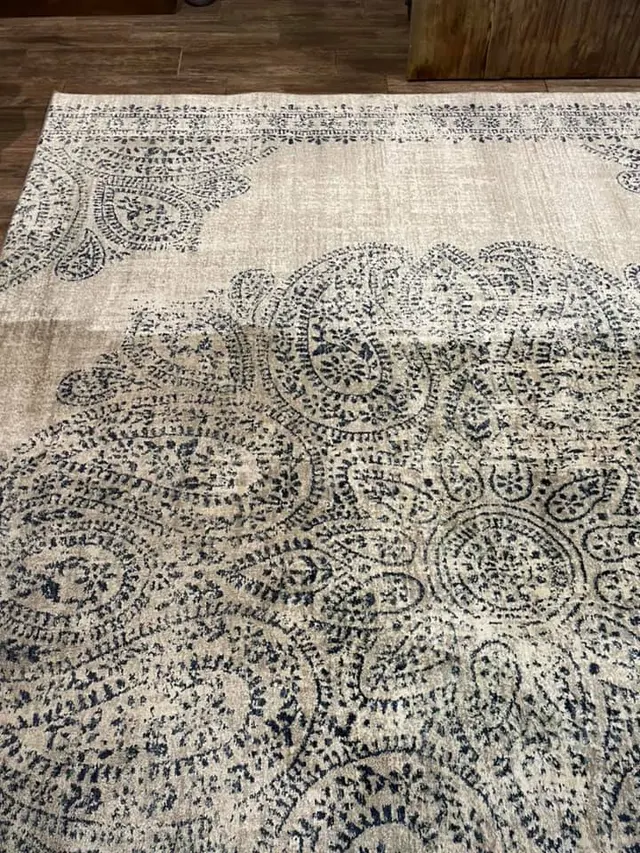 DMD Carpet & Tile Cleaning — photo from the business 3