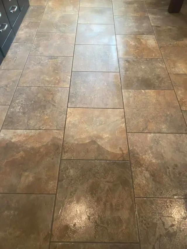 DMD Carpet & Tile Cleaning — photo from the business 7