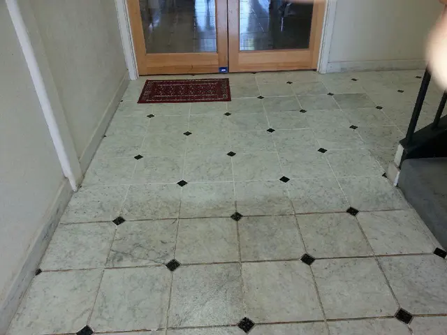DMD Carpet & Tile Cleaning — photo from the business 9