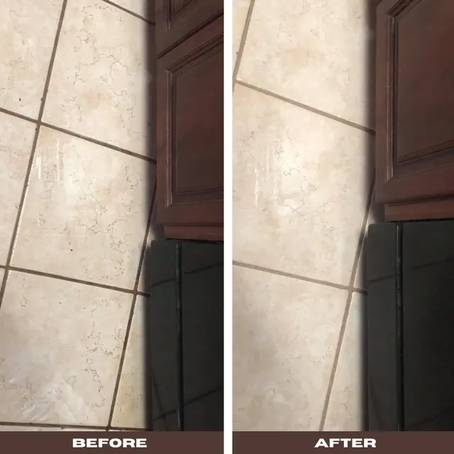 DMD Carpet & Tile Cleaning — photo from the business 12