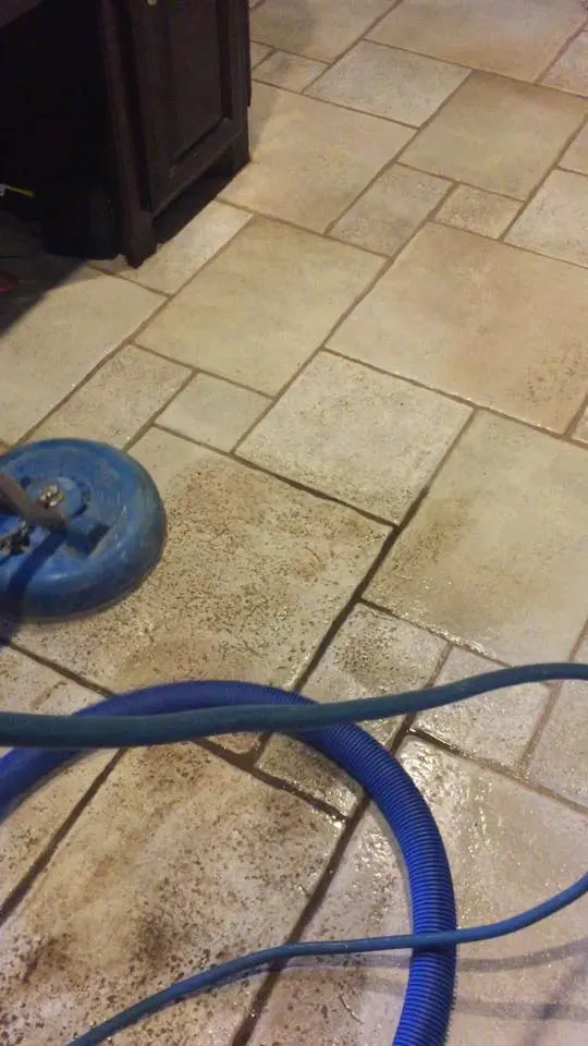 DMD Carpet & Tile Cleaning — photo from the business 11