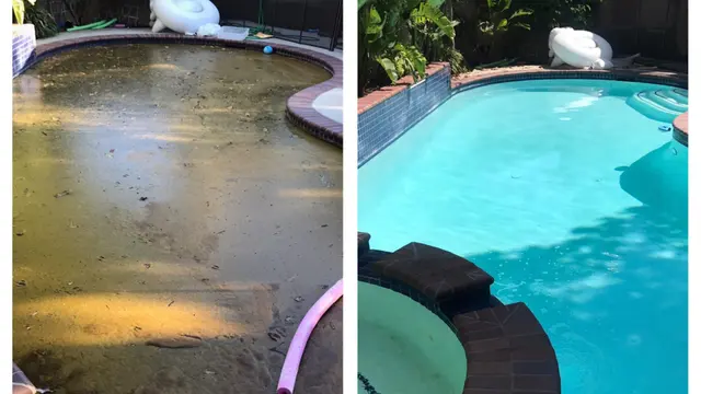 Poolfessionals — photo from the business 1