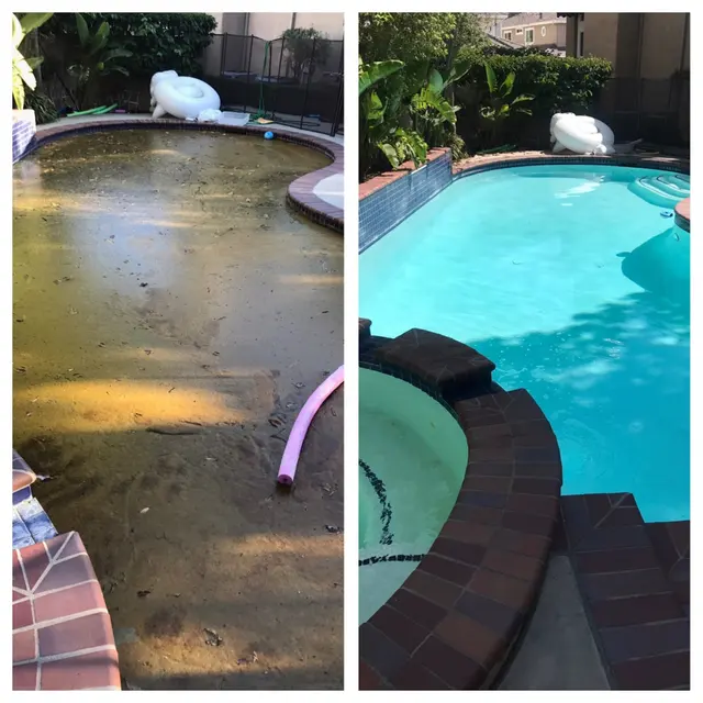 Poolfessionals — photo from the business 12