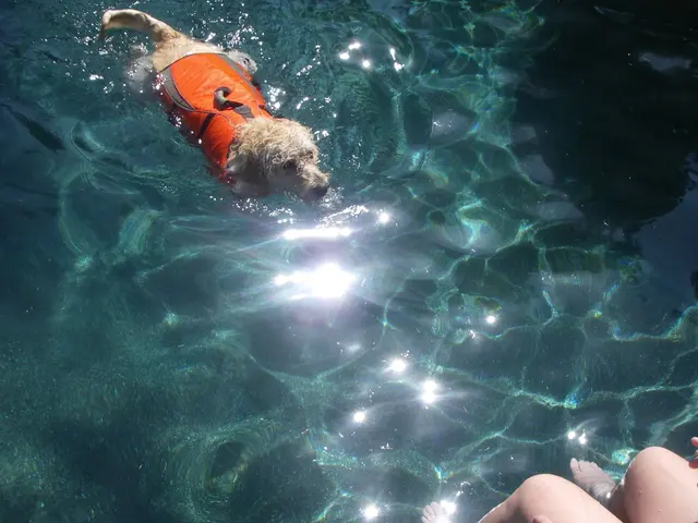 Poolfessionals — customer photo 8