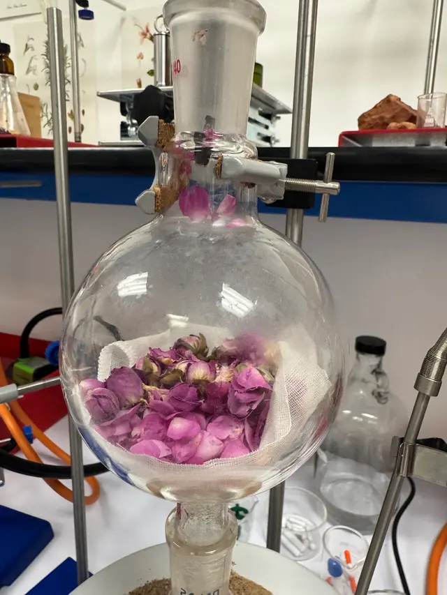 Stirbar lab — photo from the business 10