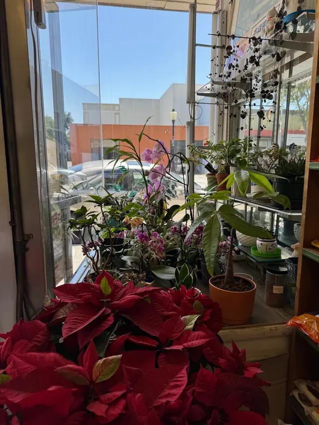 E & W Natural Way — customer photo 11