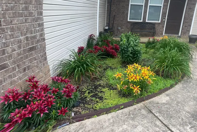 Superior Lawn Services — customer photo 7