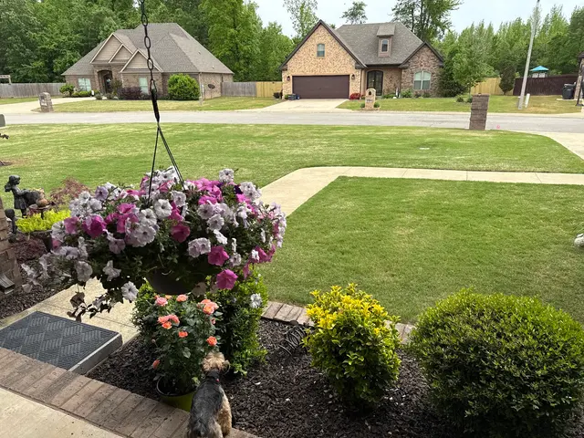 Superior Lawn Services — customer photo 3